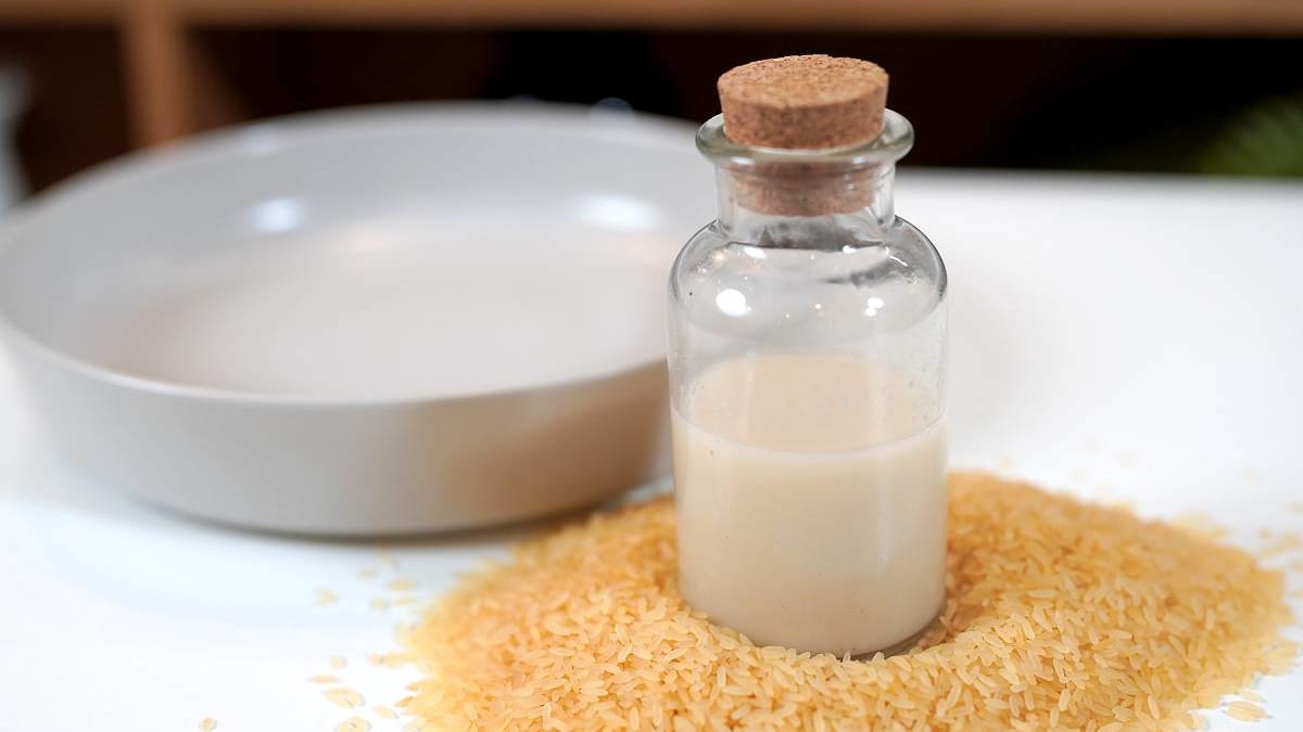 Rīsu – kanēļa piens