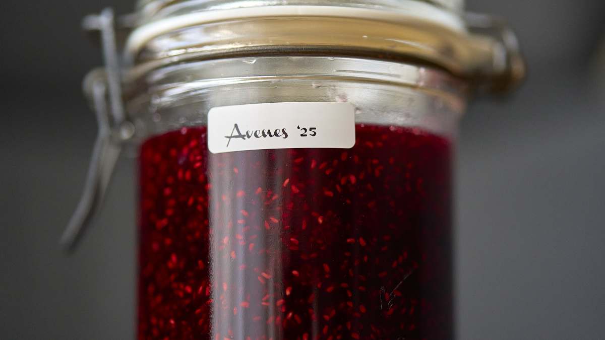 Omes aveņu ievārījums