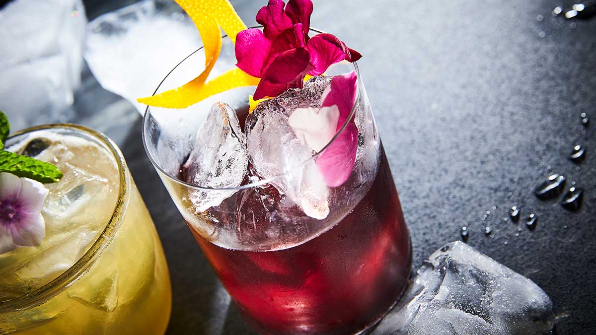 Rob Roy