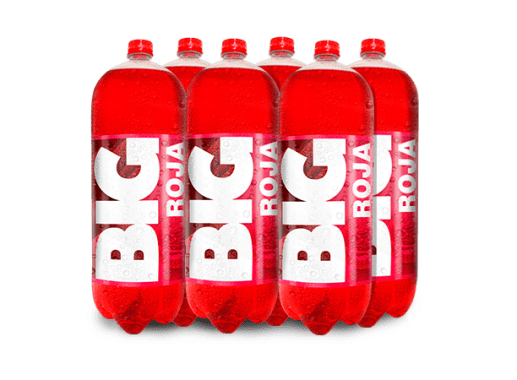 BIG ROJA PET NO RETORNABLE 3030 ML 6