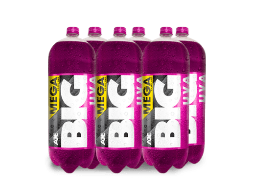 BIG UVA PET NO RETORNABLE 3030 ML 6