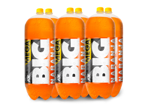 BIG NARANJA PET NO RETORNABLE 3030 ML 6