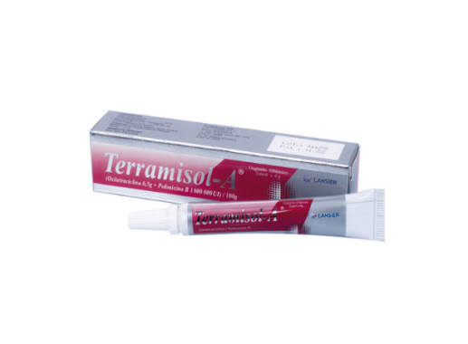 TERRAMISOL A UNGUENTO OFTALMICO X 6 GR (CONSERVACION)