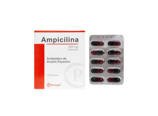 AMPICILINA 500 MG