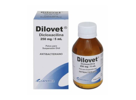 DILOVET 250MG/5ML SUSPENSION X 80ML