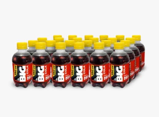 BIG COLA PET NO RETORNABLE 250 ML 24