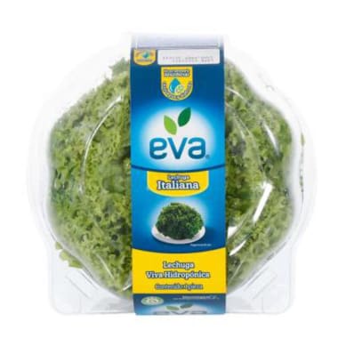 Lechuga Italiana Hidropónica Eva Pza