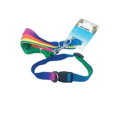 CORREA C/COLLAR MEDIANO PLANO 1,5 MULTICOLOR