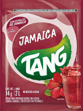 Concentrado Tang Jamaica Reducido 72X13G