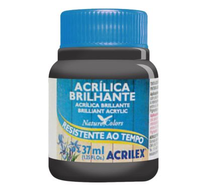 Pintura Acrílica Brillante 37 ml Negro