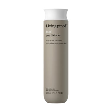 NO FRIZZ CONDITIONER