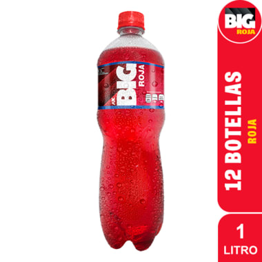 BIG ROJA PET NO RETORNABLE 1000 ml 12 pack