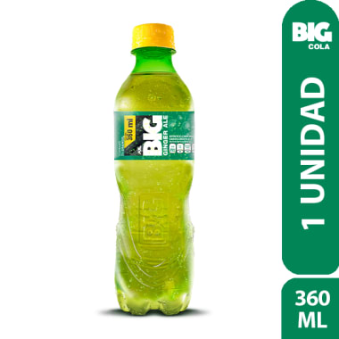  BIG GINGER PET NO RETORNABLE 360 ML 24                    