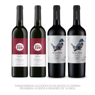 Los Elegidos del Sur