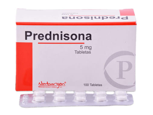 PREDNISONA 5MG TABL X 100  