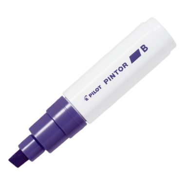 PLUMON PINTOR VIOLETA-SW-PT-B-V