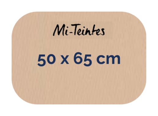 Hoja - Canson - Mi Teintes - 160 GSM - 50x65cm