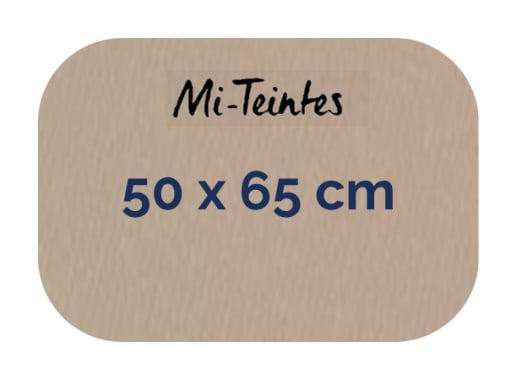 Hoja - Canson - Mi Teintes - 160 GSM - 50x65cm