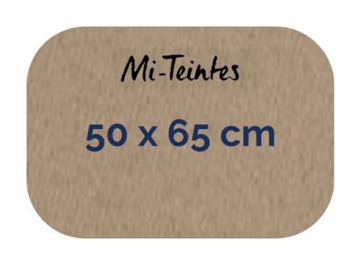 Hoja - Canson - Mi Teintes - 160 GSM - 50x65cm