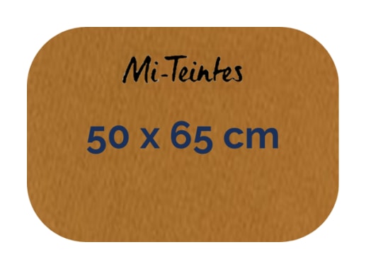 Hoja - Canson - Mi Teintes - 160 GSM - 50x65cm