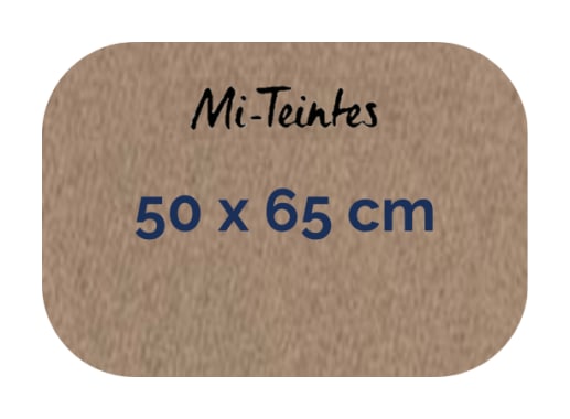 Hoja - Canson - Mi Teintes - 160 GSM - 50x65cm