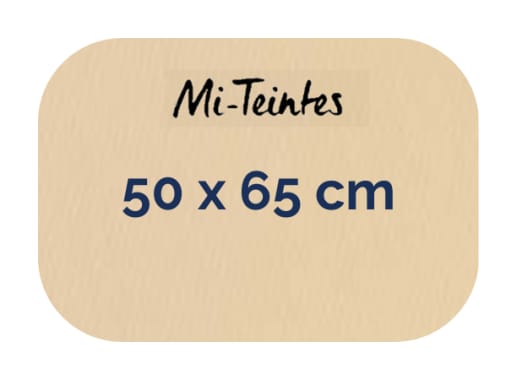 Hoja - Canson - Mi Teintes - 160 GSM - 50x65cm