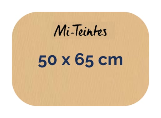 Hoja - Canson - Mi Teintes - 160 GSM - 50x65cm