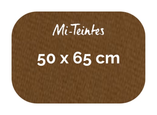 Hoja - Canson - Mi Teintes - 160 GSM - 50x65cm