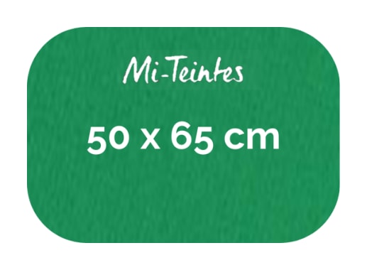 Hoja - Canson - Mi Teintes - 160 GSM - 50x65cm