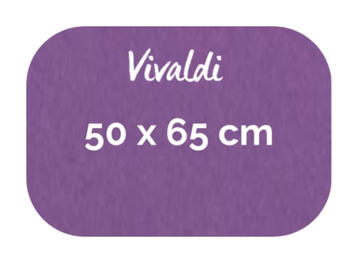 Hoja - Canson - Vivaldi - 185 GSM - 50x65cm