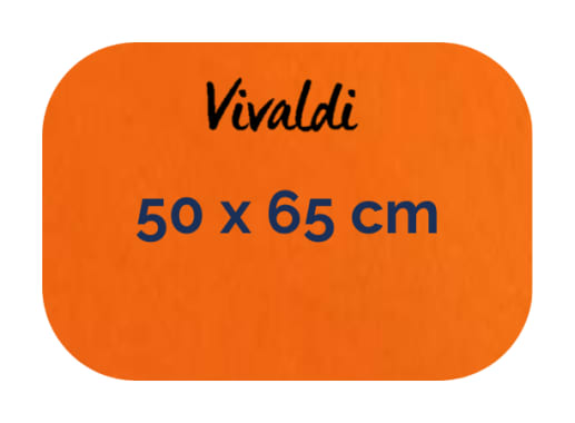 Hoja - Canson - Vivaldi - 185 GSM - 50x65cm
