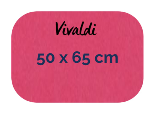 Hoja - Canson - Vivaldi - 185 GSM - 50x65cm