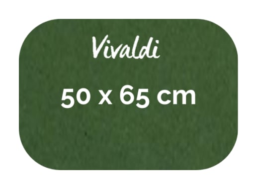 Hoja - Canson - Vivaldi - 185 GSM - 50x65cm