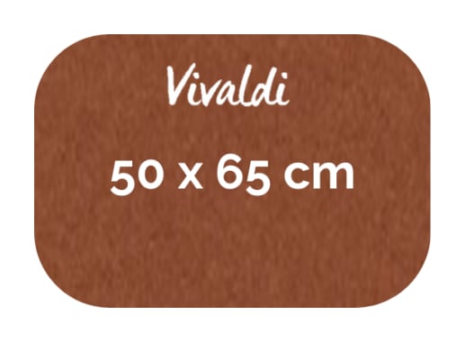 Hoja - Canson - Vivaldi - 185 GSM - 50x65cm