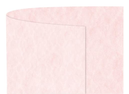 6001963 - PAQ. 250H 90GSM LAGUNA ROSA (ROSADO)