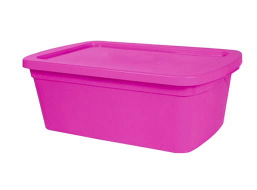 Caja Organizadora De 11 Lts Ecoline Fiusha