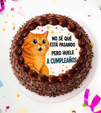 Pt Trend Gato