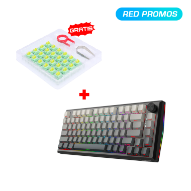 Teclado Redragon PENUMBRA Wireless English K687GG PRO + Kit Switches Redragon A113 Bullet QT