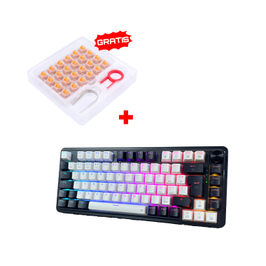 Teclado Redragon UCALPRO-RGB Wireless Spanish K673WB WHITE/BLACK + Kit Switches Redragon A113 Bullet QL