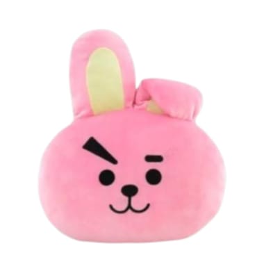 Coj n decorativo BT21