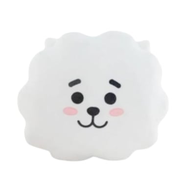 Coj n decorativo BT21