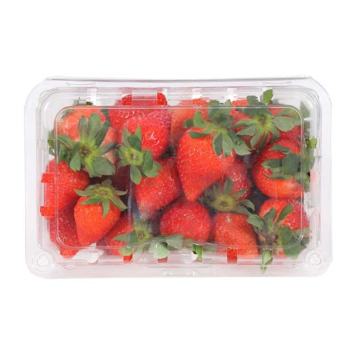 Fresas Frescas Benjamin X canastillas de 10 a 15 Kg