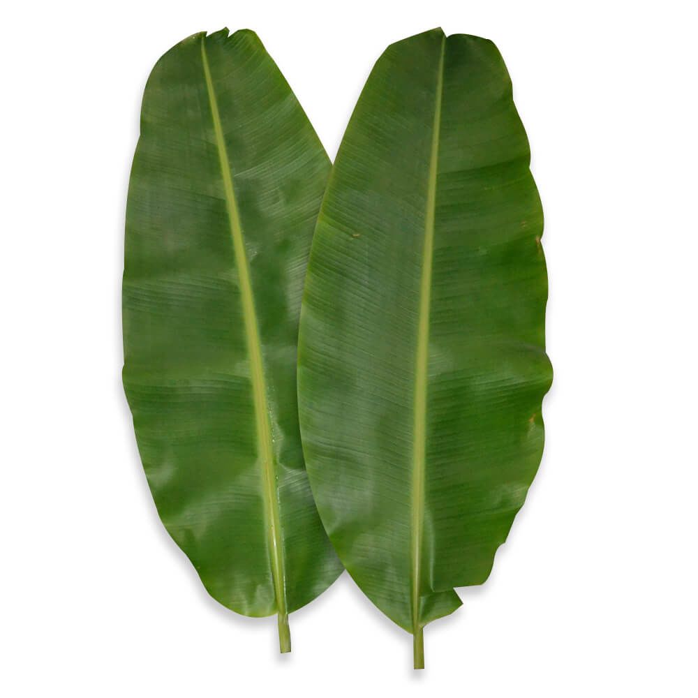 Hoja De Platano Kilo