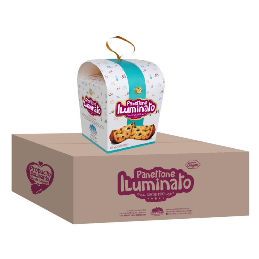 PROMO MASTER X 6 UDS PANETTONE BOX 