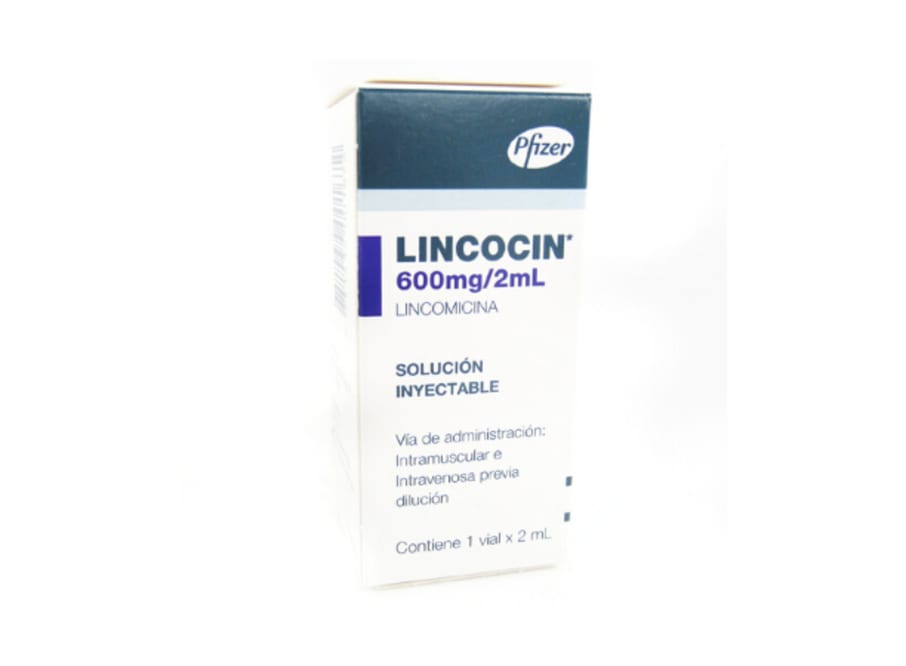 LINCOCIN 600 MG AMPOLLA X 2 ML