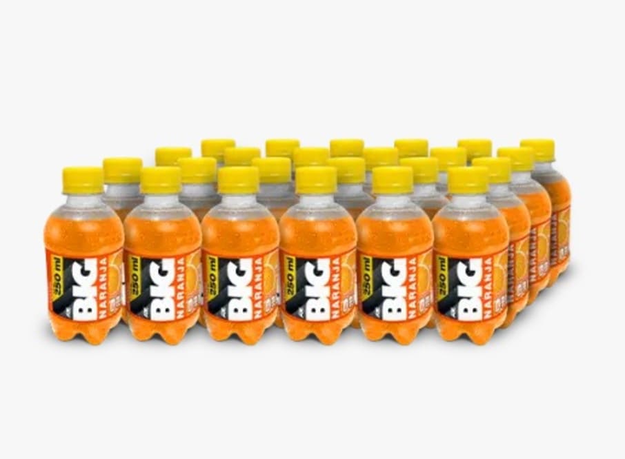 BIG NARANJA PET NO RETORNABLE 250 ML 24