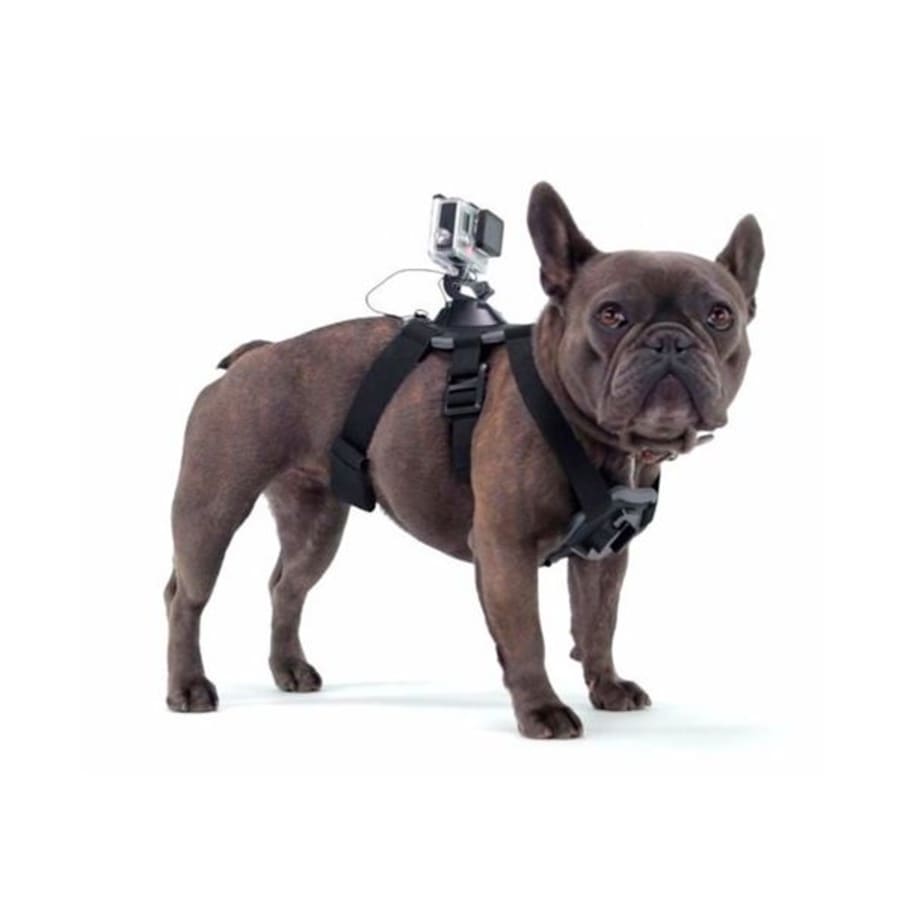 GoPro Fetch (Dog Harness) ADOGM-001