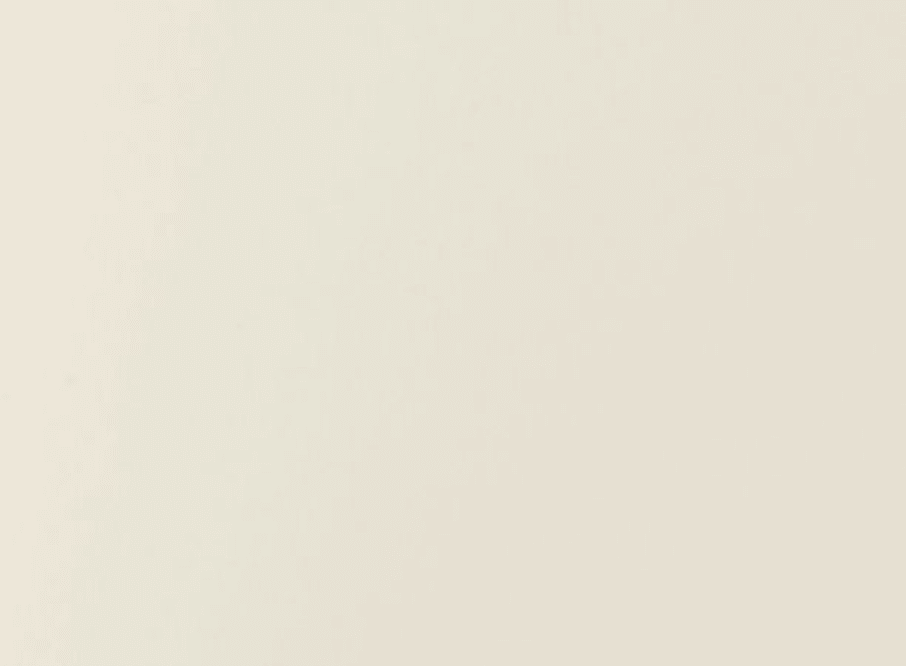 6007236 - PAQ. 100H 250GSM SHIRO TREE FREE CREMA 70X100CM