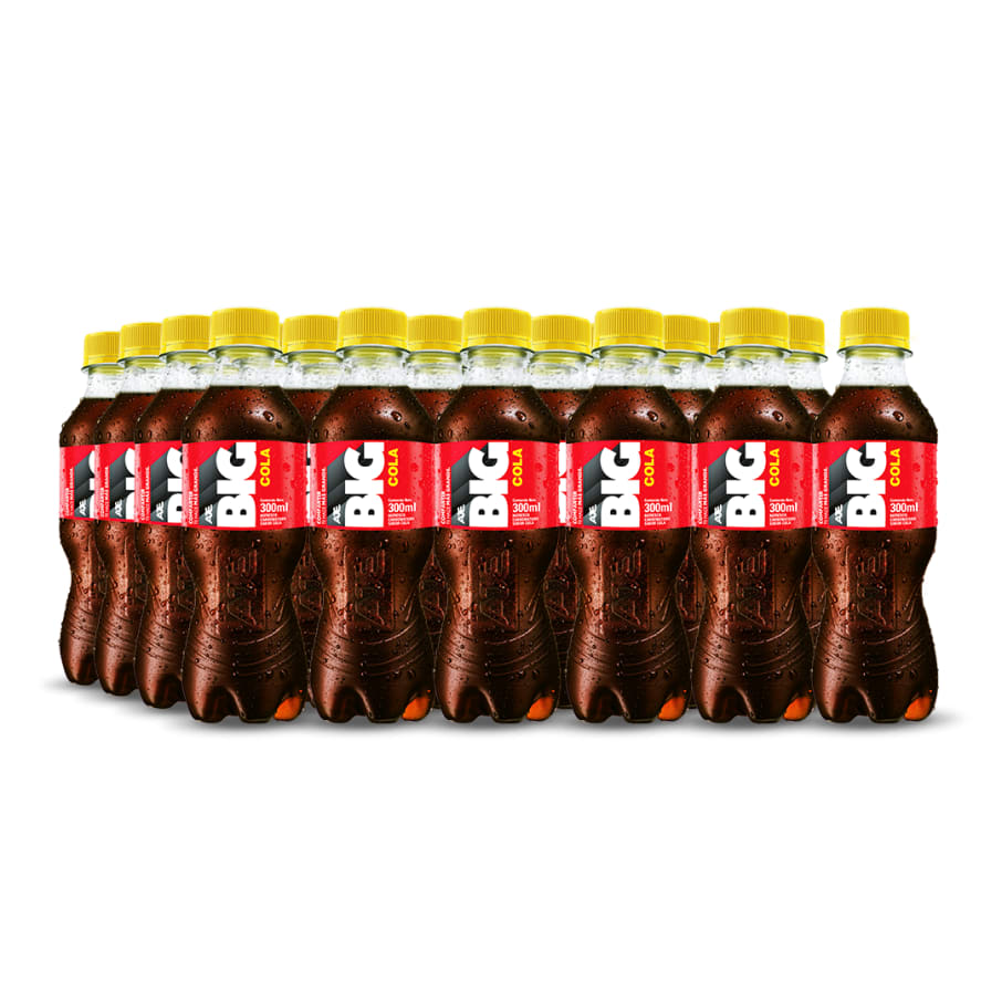 BIG COLA PET NO RETORNABLE 300 ML 24