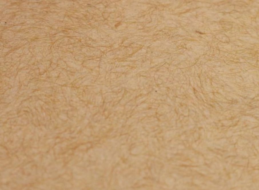 6315305 - PAQ. 100H 220GSM FAVINI ECO-PAPER ROBLE 70X100CM